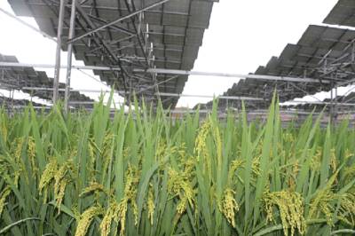 微(wēi)信圖片_20210413110112.jpg 微(wēi)信圖片_20210413110112.jpg